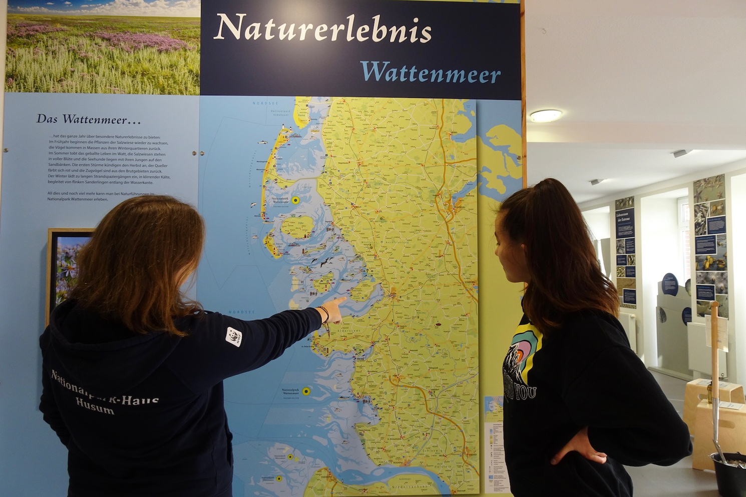 Freiwillige zeigt Gast etwas auf Landkarte zum Naturerlebnis Wattenmeer