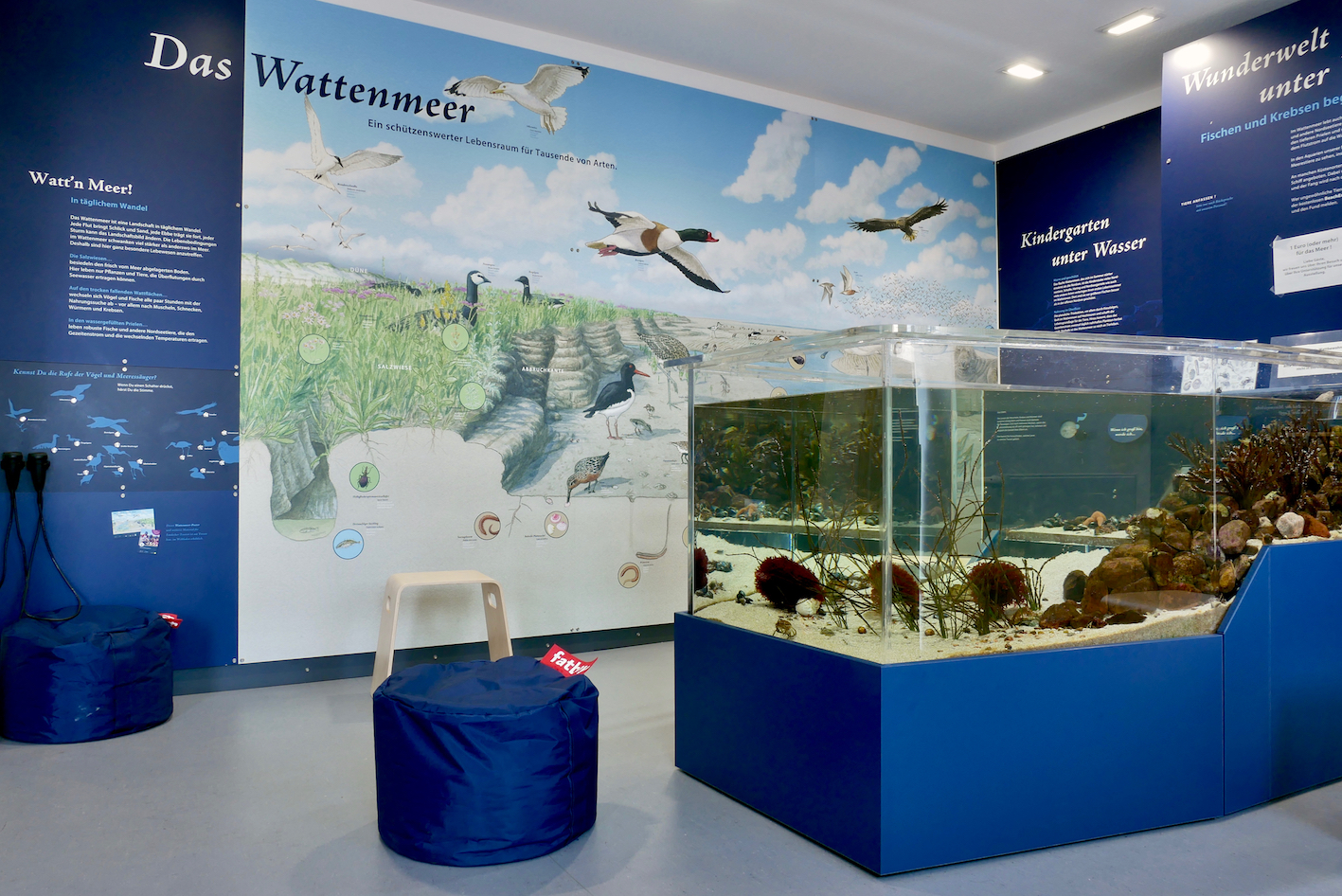 Aquarium des Nationalparkhauses mit Sitzsessel